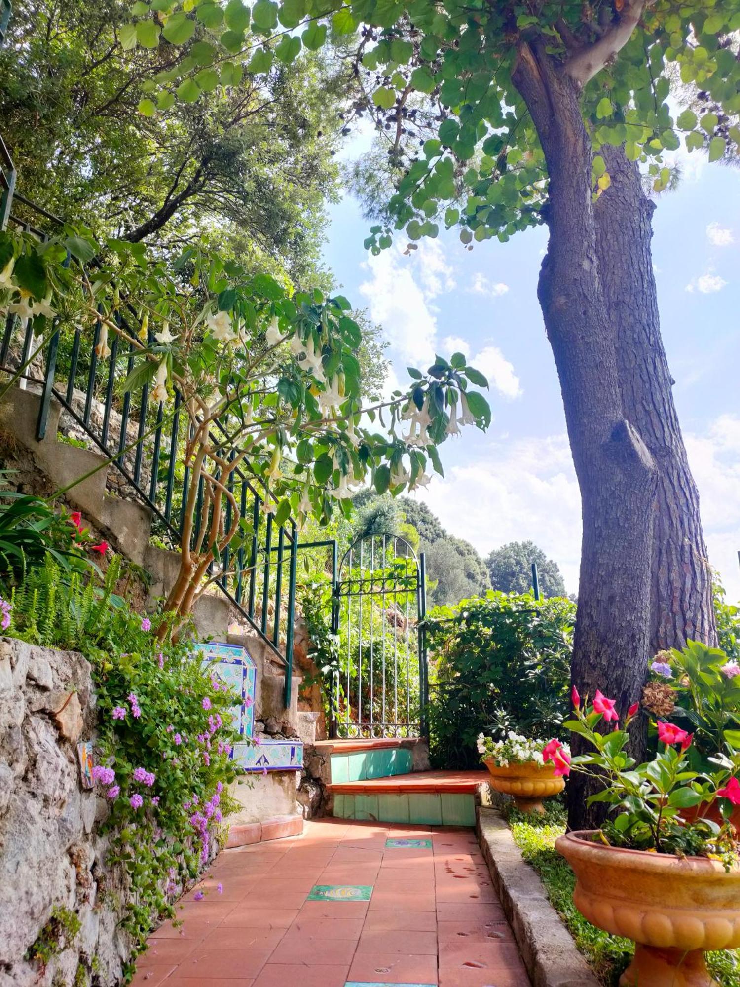 Casa Vacanze Bouganvillea Четара Экстерьер фото